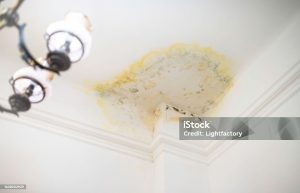 muffa da infiltrazione
